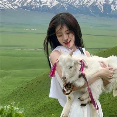 黄飞鸿之狮魂觉醒